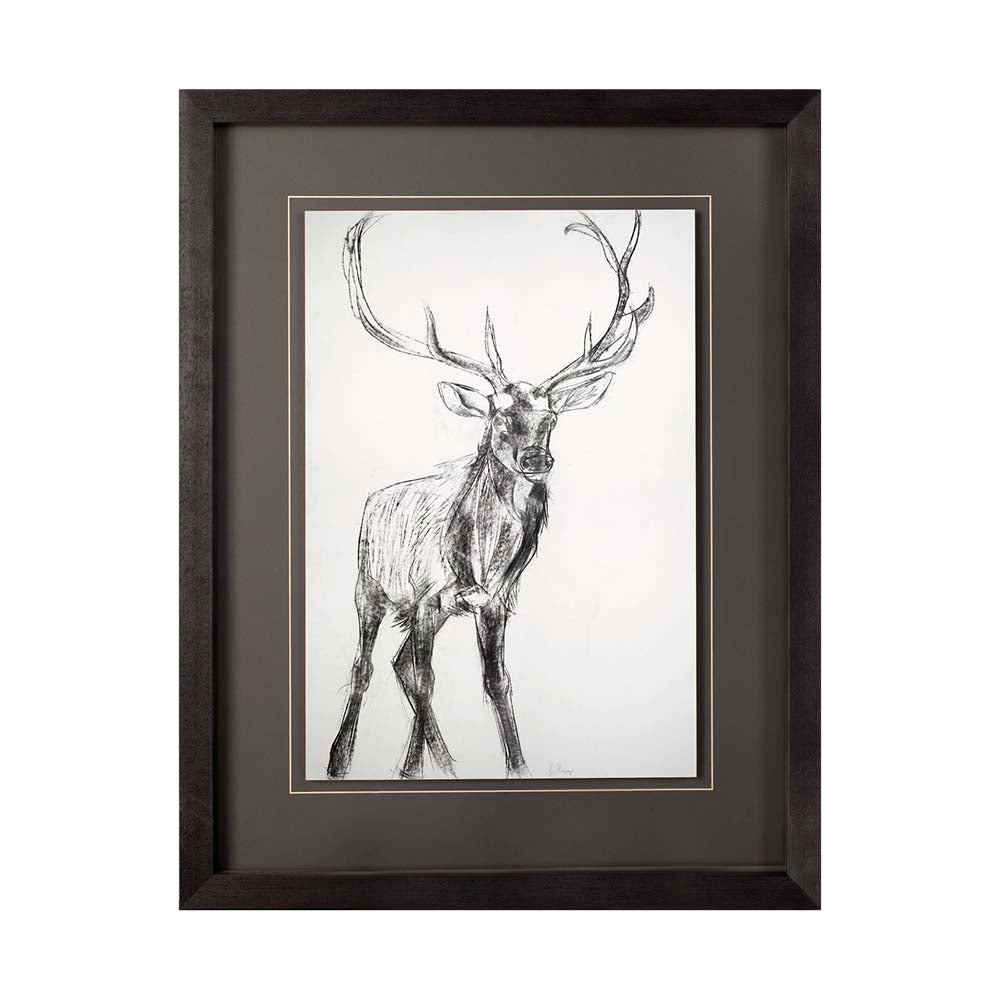 Framed print of young elk from charcoal sketch on a white background