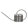 Small aluminum watering can with loop handle and delicate spout on a white background