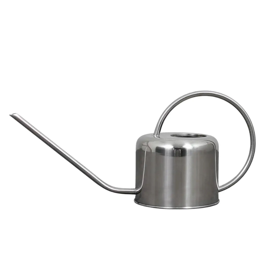 Small aluminum watering can with loop handle and delicate spout on a white background