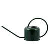 Small green watering can with loop handle and delicate spout on a white background