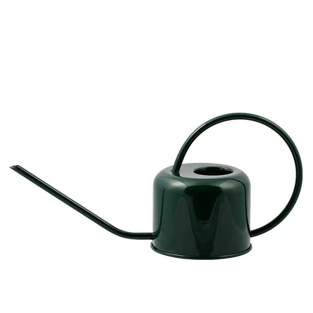 Small green watering can with loop handle and delicate spout on a white background