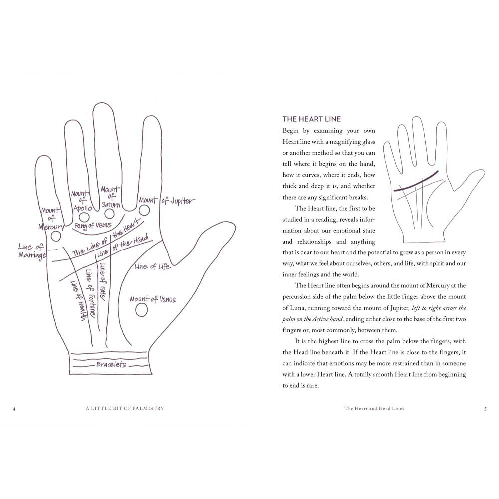 Inside pages of book titled 'A little bit of palmistry'