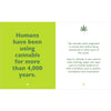 Inside pages of book: Little Book of Weed: A Guide for the Curious and the Connoisseur