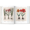 Inside pages of book Floriligium The Book of Plants with illustrations of red bulb plants on a white background