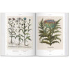 Inside pages of book Floriligium The Book of Plants with illustrations of thistle plants on a white background