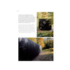 Inside pages of book: Off Grid: Nature Powered Homes