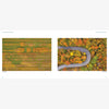 Inside pages of book: 'Art from above Vermont' photographs by Caleb Kanne