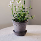 Berg's Pottery Grey Castle Pot Set - Addison West 