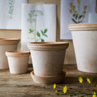 Berg's Pottery Flora Pot Set - Addison West 