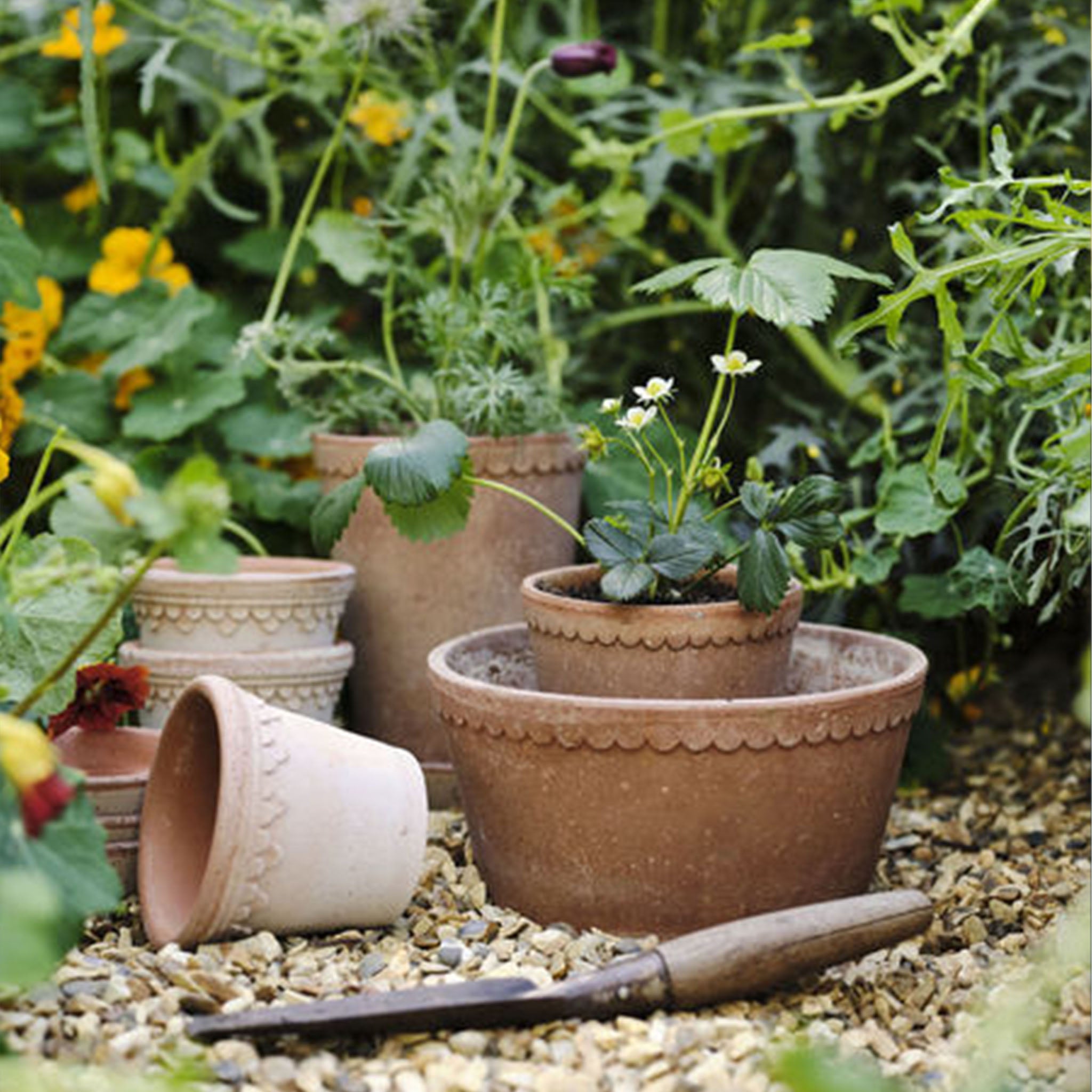 Berg's Pottery Helena Pot Set - Addison West 