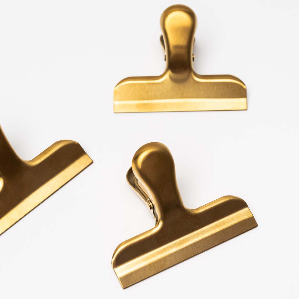 Gold Finish Stainless Steel Clip on a white background