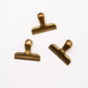 Gold Finish Stainless Steel Clip on a white background