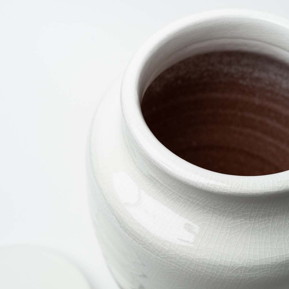 Interior view of white ginger jar on a white background with lid off 