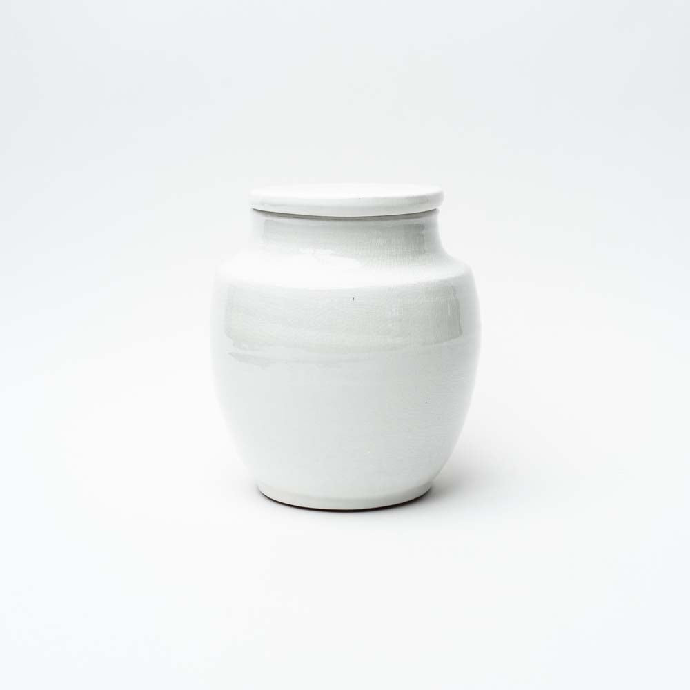 White ginger jar on a white background 