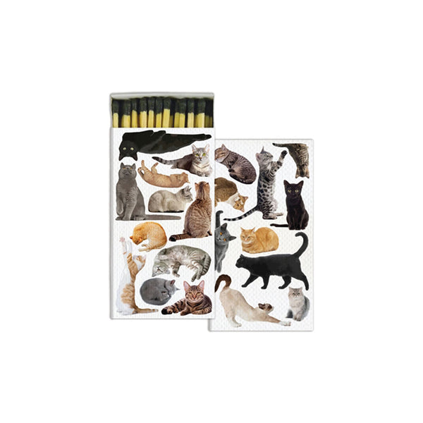 Match box with cats on the cover on a white background