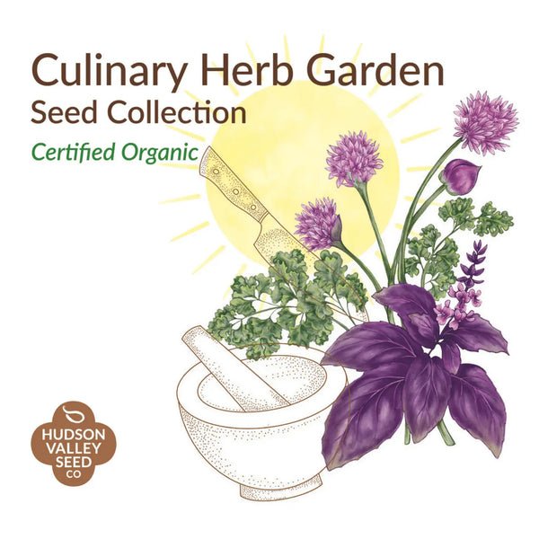 Hudson Valley Seed company culinary herb garden seed collection white box seed pack cover