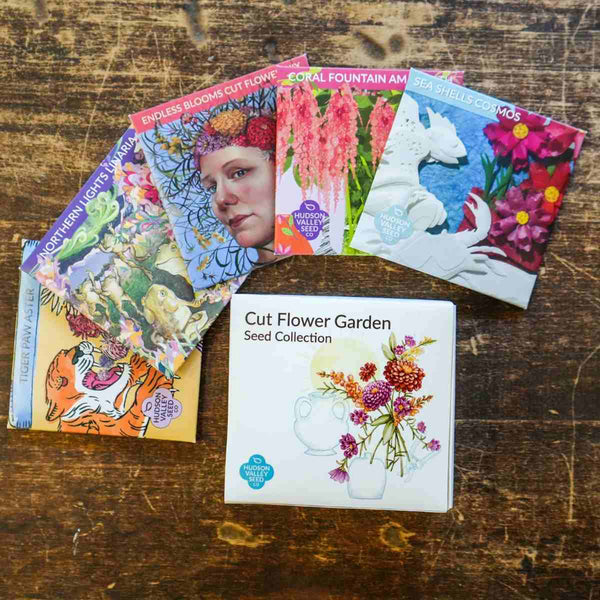 Hudson Valley Seed company Cut Flower Garden Seed Gift box with colorful seed packets in array on a wood surface 