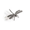 Antique pewter dragon fly by Zodax on a white background