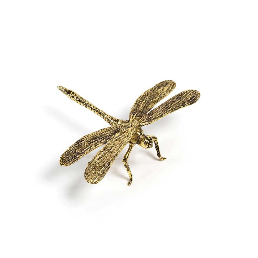 Dragon fly in gold finish by Zodax on a white background