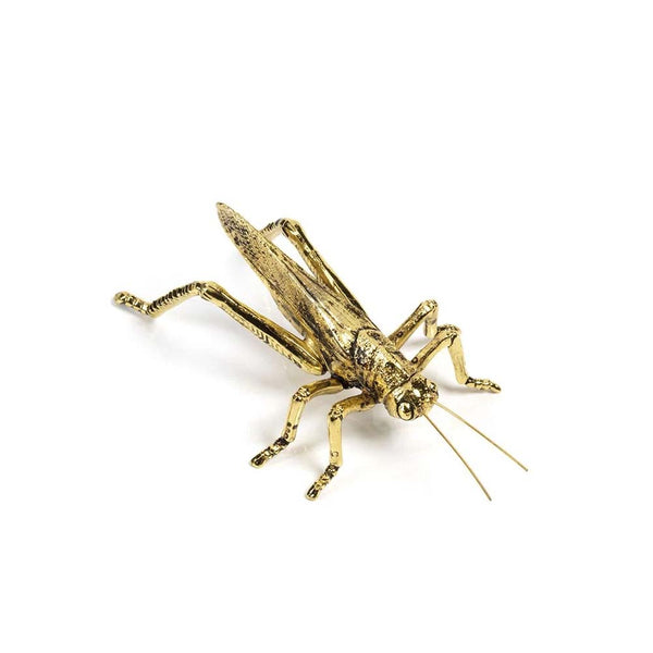 Small gold Grasshopper decor on a white background