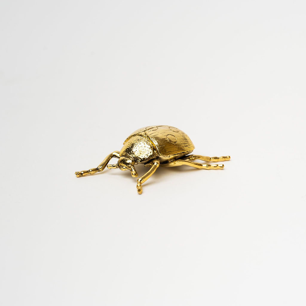 Gold finish decorative ladybug on a white background