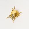 Gold finish decorative ladybug on a white background