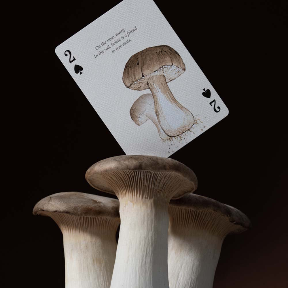 Art of Play Brand Eastern Forest Playing card two of spades with mushroom illustration