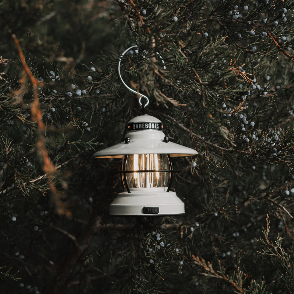 White mini Edison lantern by Barebones brand with vintage style and caged bulb hanging in an evergreen tree 