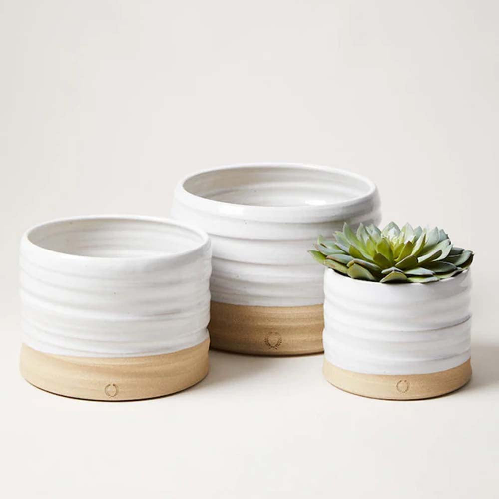Farmhouse pottery set of three trunk planters with succulent in smallest on a white background
