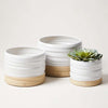 Farmhouse pottery set of three trunk planters with succulent in smallest on a white background