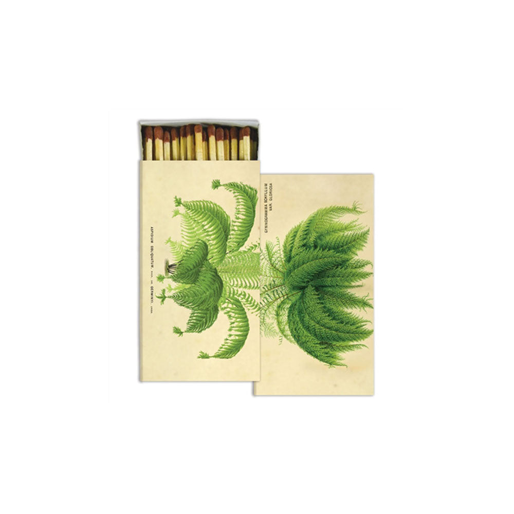 Box of matches with fern on cover on a white background
