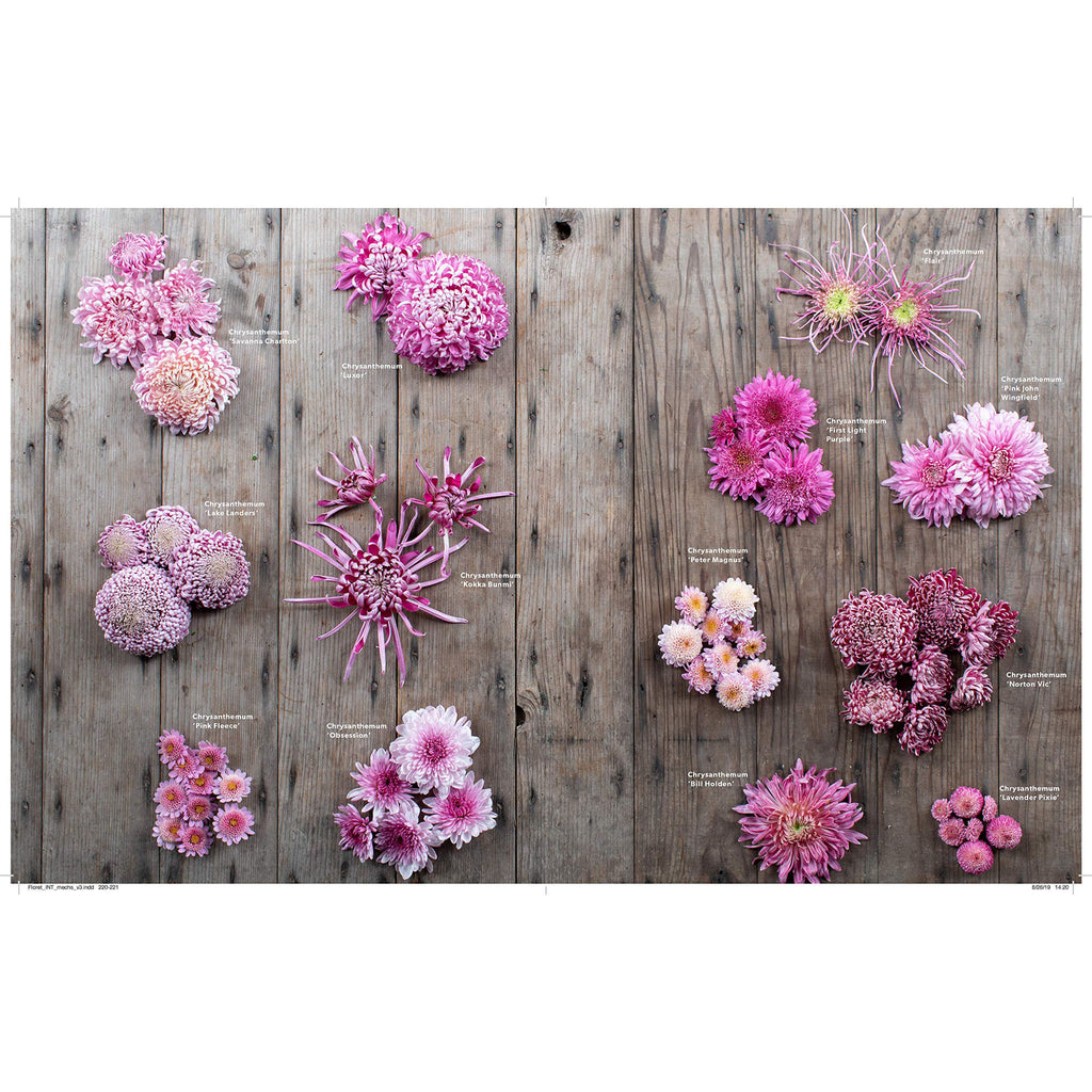 Inside pages of book Floret's Farm a Year in Flowers with pink flowers laid out on a wood floor