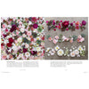 Inside pages of book Floret's Farm a Year in Flowers with red, pink and white flowers laid out on a dark concrete floor