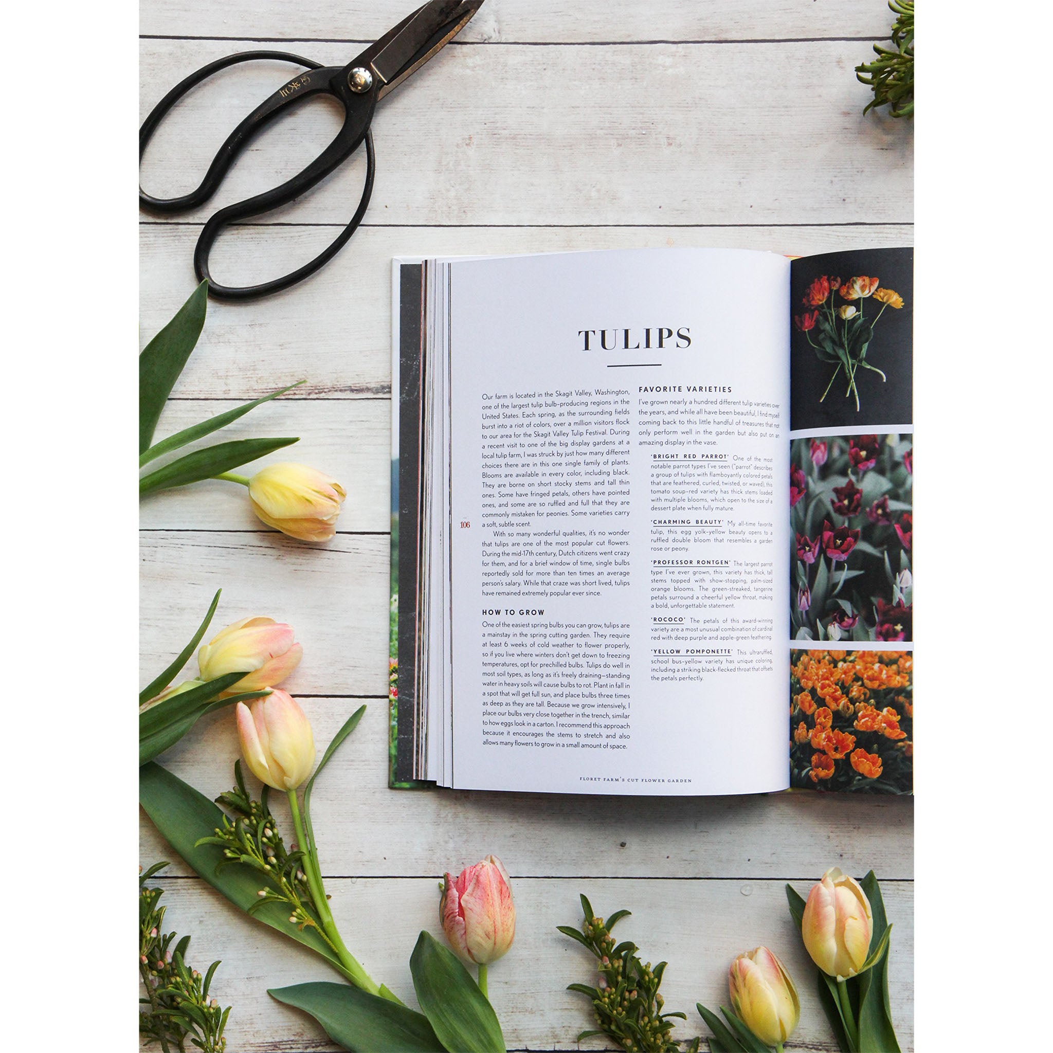 nside pages of book titled 'cut flower garden' with pages on tulips