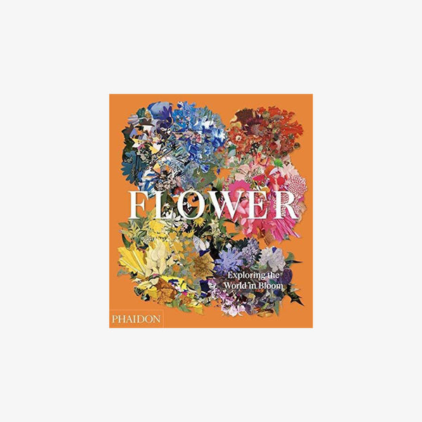 Orange front cover of book Flower: Exploring the World in Bloom on a white background