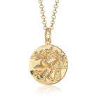Scream Pretty brand gold Aquarius zodiac star sign necklace on a white background