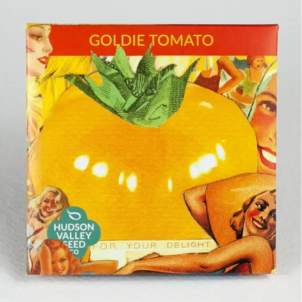 Hudson Valley Seed company Goldie Tomato seed pack with colorful yellow tomato art on a grey background