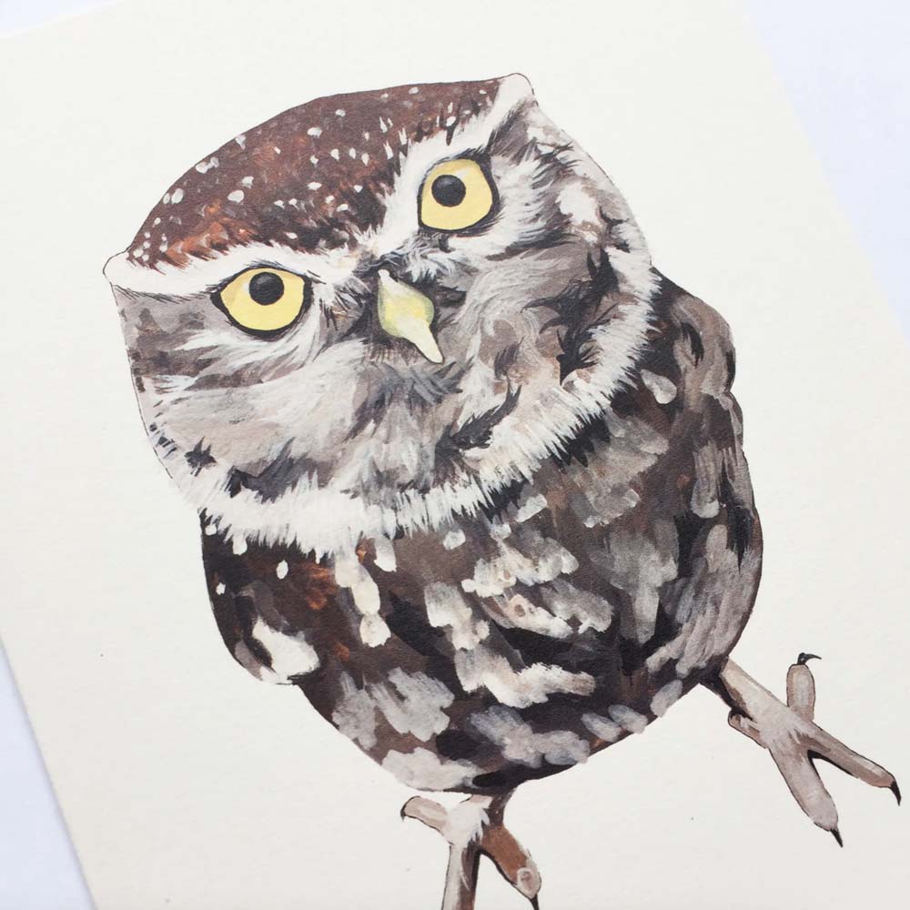 Close up of Baby owl greeting card on a white background