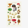 Cavallini paper brand mushroom tea towel with different varieties printed on creme muslin cloth