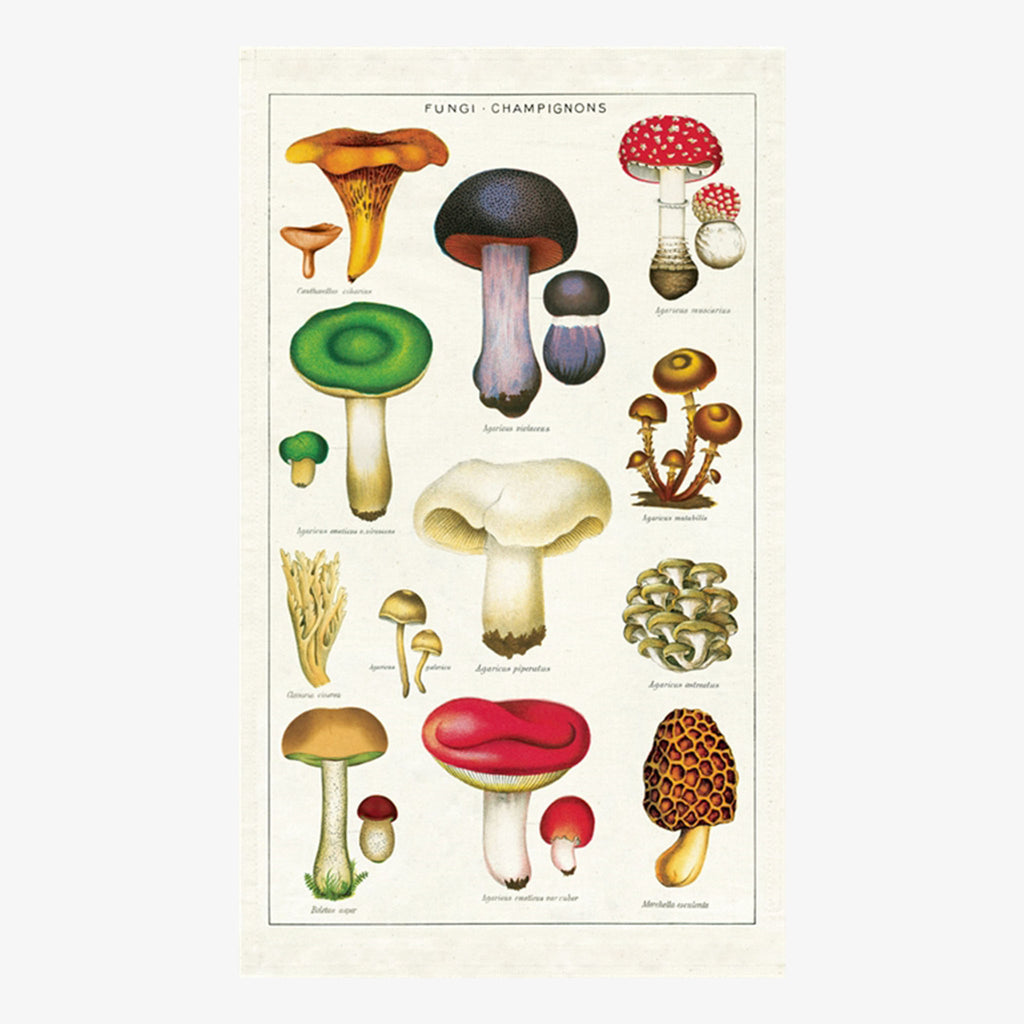 Cavallini paper brand mushroom tea towel with different varieties printed on creme muslin cloth