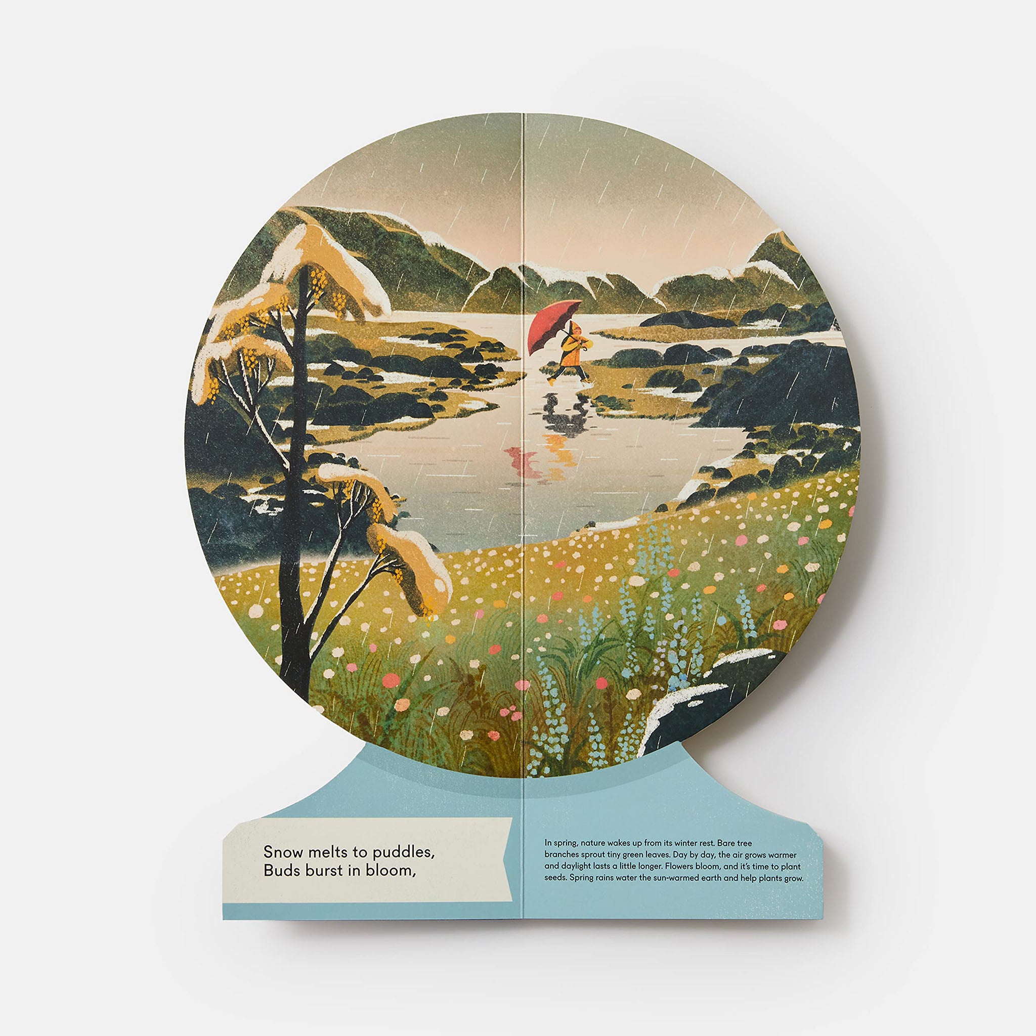 Our Seasons: The World in Winter, Spring, Summer, and Autumn - Addison West 