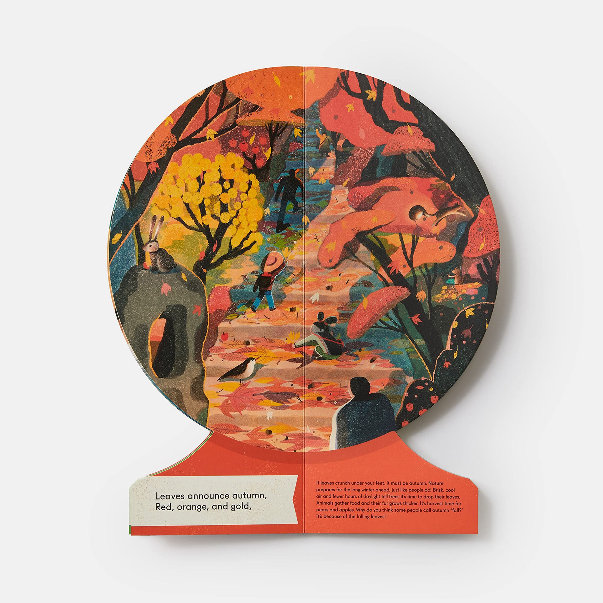 Our Seasons: The World in Winter, Spring, Summer, and Autumn - Addison West 