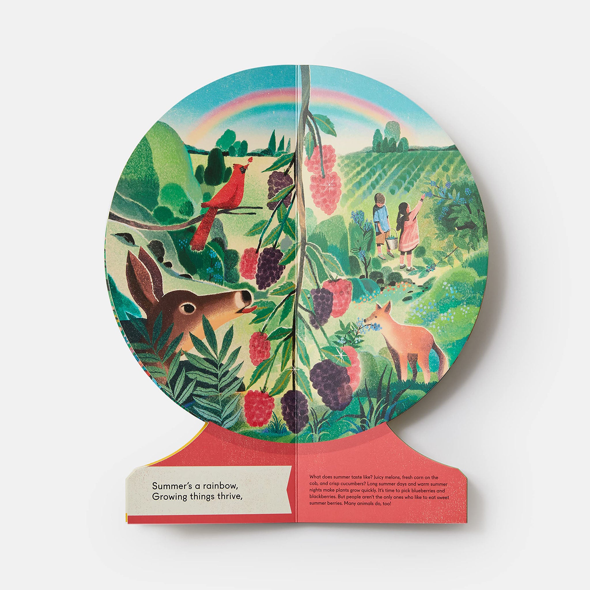 Our Seasons: The World in Winter, Spring, Summer, and Autumn - Addison West 