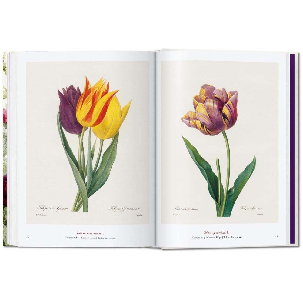 Redouté. The Book of Flowers - Addison West 