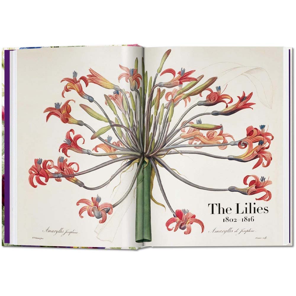 Redouté. The Book of Flowers - Addison West 