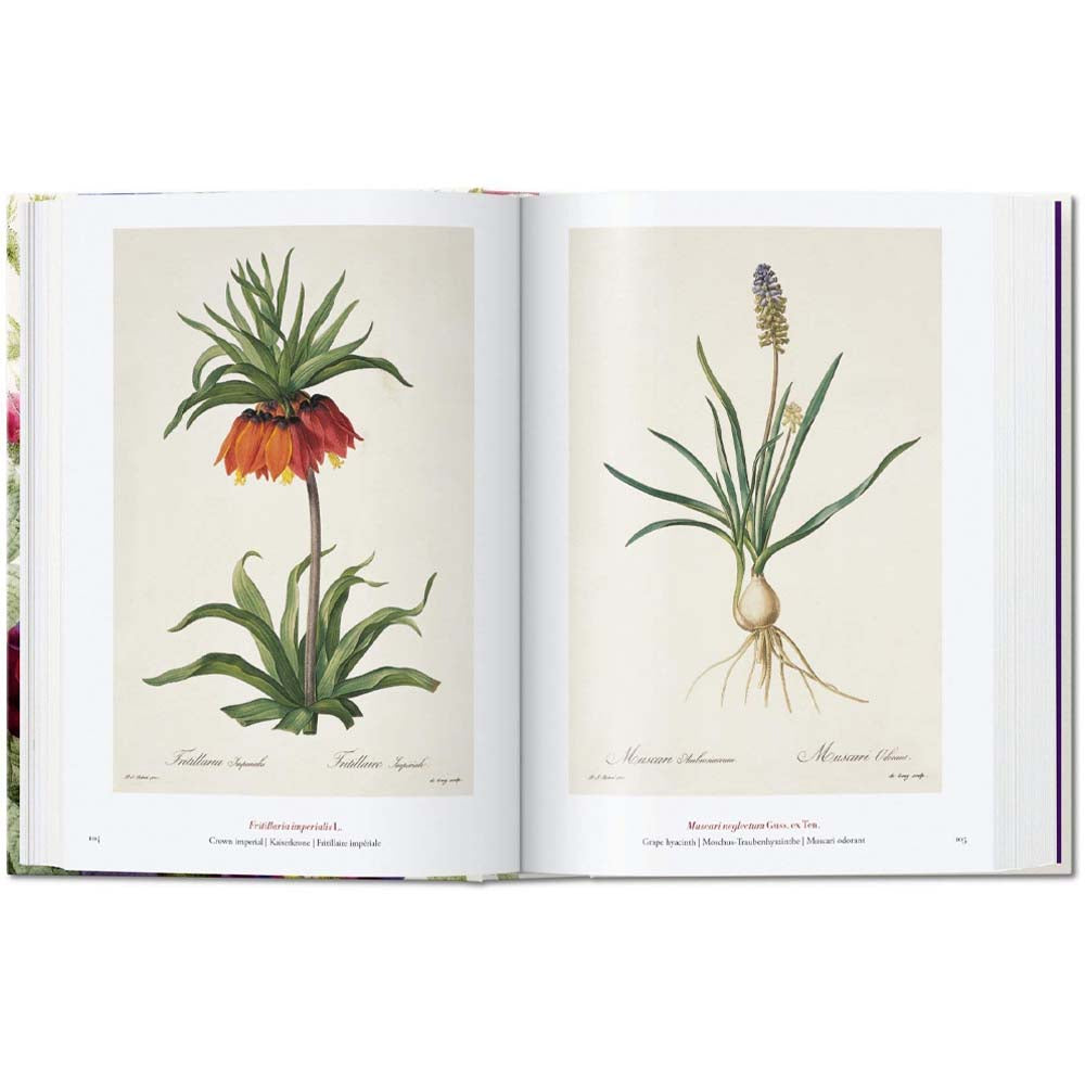 Redouté. The Book of Flowers - Addison West 