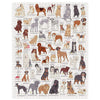 1000 piece dog breed puzzle assembled on a white background