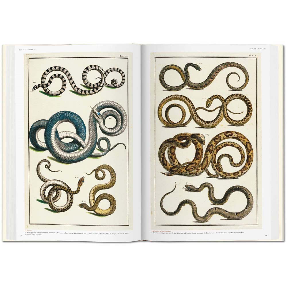 Inside page art of snakes from book Cabinet of natural curiosities