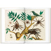 Inside page art of spiders from book Cabinet of natural curiosities