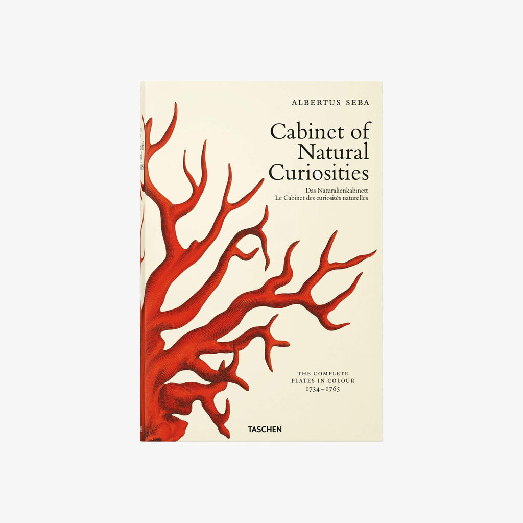 Cream front cover of book: Cabinet of Natural Curiosities with red coral 